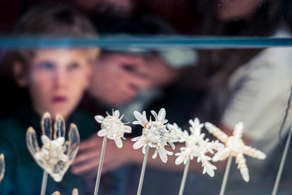 Magazine Savoir(s) 51 : Des collections en veille et en éveil